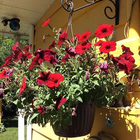 Chez Lulu Et Lutin Bed and Breakfast Rawdon Exteriör bild